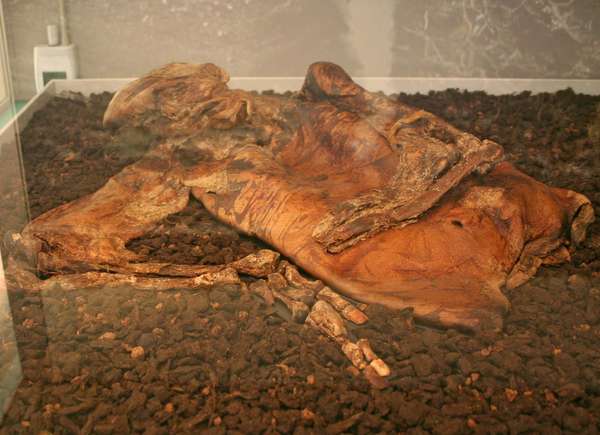 bog body. Lindow Man aka Pete Marsh about 25 years at death, radiocarbon dated to 2 BCE-119 CE, found Lindow Moss in northwest England, 1984. Human remains mummified in natural peat bogs. mummy, embalm