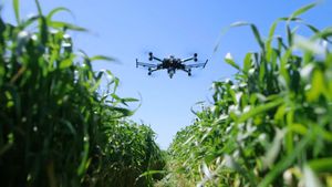 Know about the use of drones in agriculture for monitoring the environment of the field and enhance the quantity and quality crop