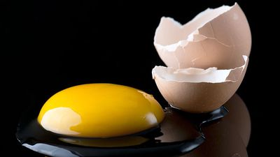 A broken egg shows its contents, an egg yolk and egg white.