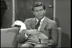 Watch episode 31 of The Dick Van Dyke Show from 1962