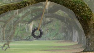 Watch how a tire-swing pendulum demonstrates the law of conservation of energy