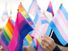 Various LGBTQ pride flags. Rainbow flag. Transgender flag (pale pink, blue and white). Bisexual flag (dark pink, purple, blue)