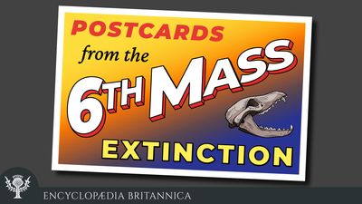 Postcards from the 6th Mass Extinction. audio series, podcast logo