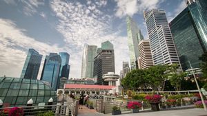 See the skylines and busy roads of Singapore
