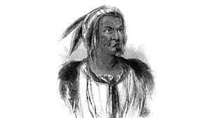 Discover why Shawnee Chief Tecumseh formed a Native American confederacy